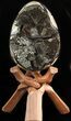 Septarian Dragon Egg Geode - Black Crystals #47472-1